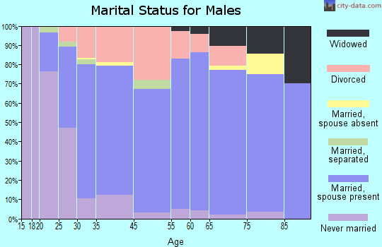 Logan marital status for males