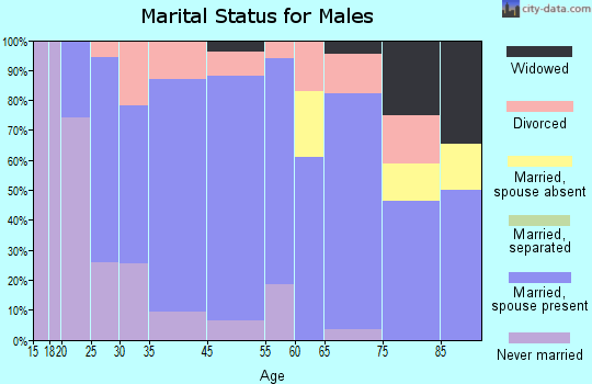 Loudonville marital status for males