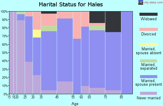 Lowellville marital status for males