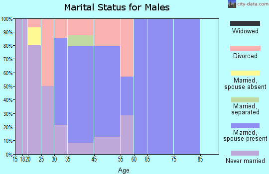 Magnetic Springs marital status for males