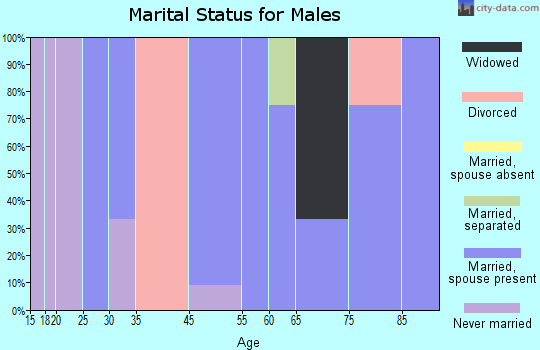 Martinsburg marital status for males