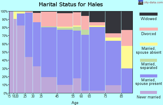 Martins Ferry marital status for males