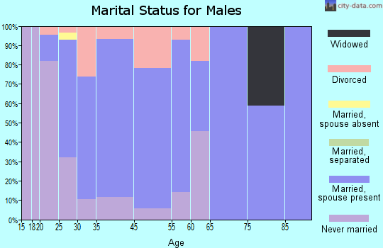 Mendon marital status for males