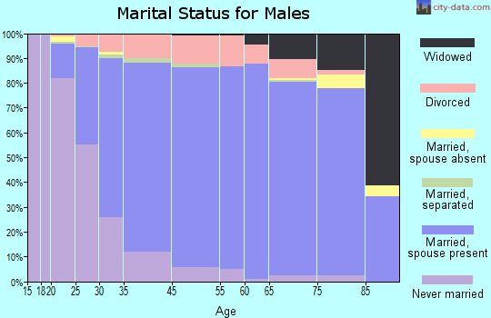 Mentor marital status for males