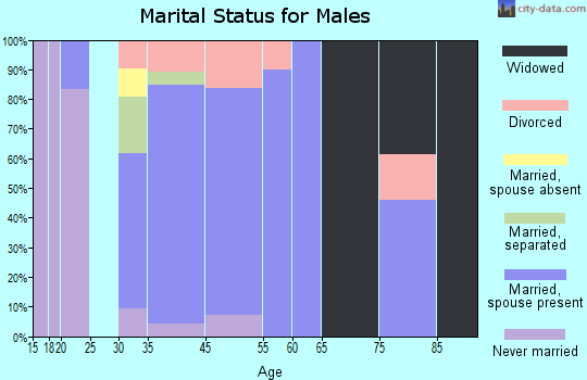 Metamora marital status for males
