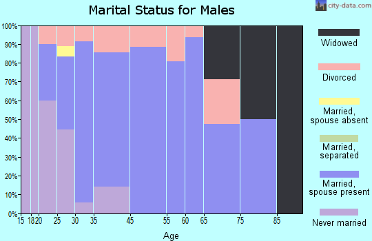 Mineral City marital status for males