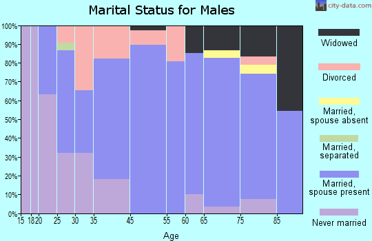 Minerva marital status for males