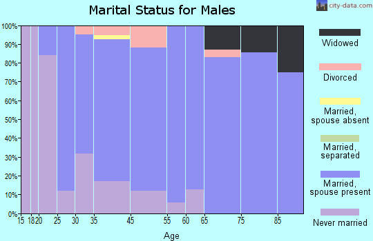Minerva Park marital status for males