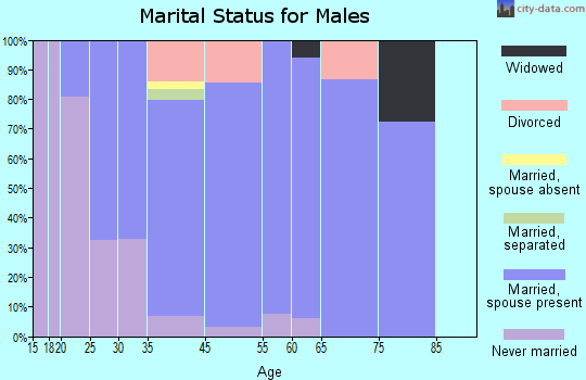 Mount Repose marital status for males