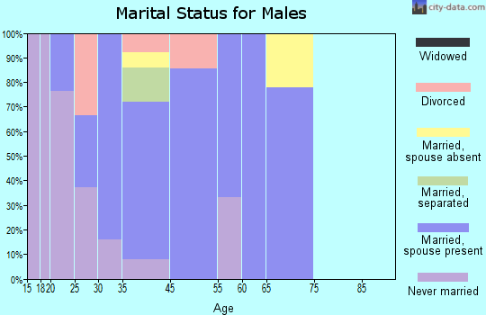 New Bloomington marital status for males
