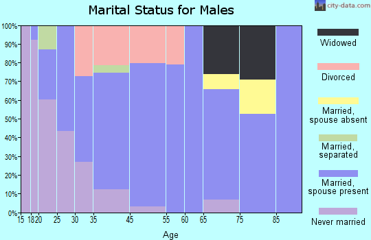 New Lebanon marital status for males