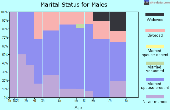New Straitsville marital status for males