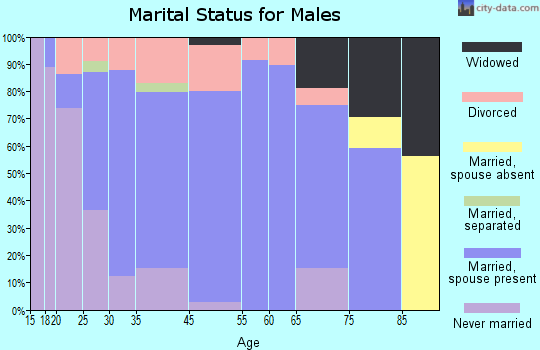 North Baltimore marital status for males