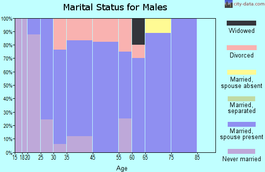 North Fairfield marital status for males