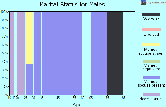North Hampton marital status for males