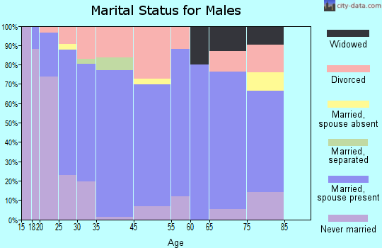 North Lewisburg marital status for males