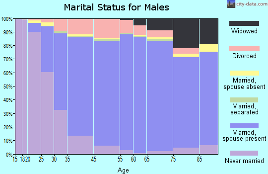 North Olmsted marital status for males