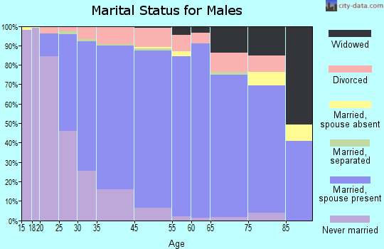 North Ridgeville marital status for males