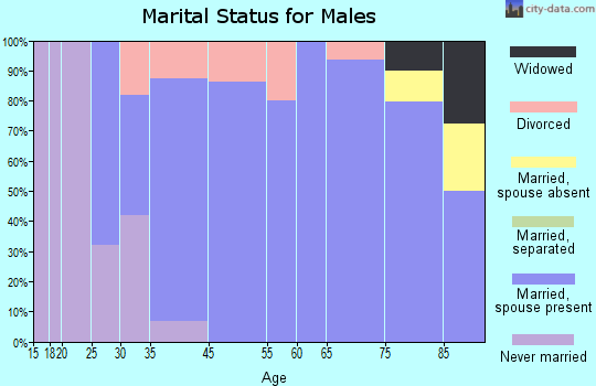 North Zanesville marital status for males