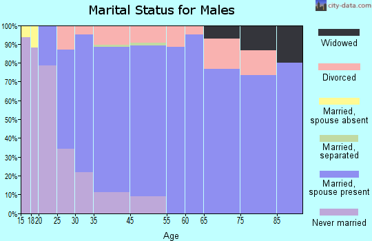 Olmsted Falls marital status for males