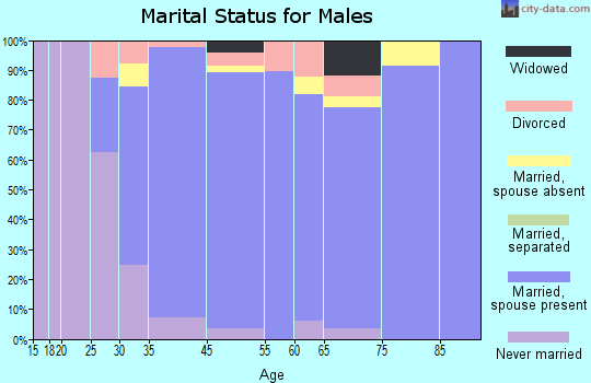 Ottawa Hills marital status for males