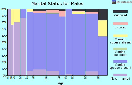 Pepper Pike marital status for males