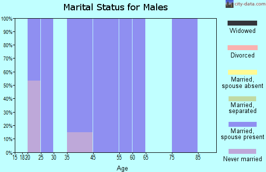 Pitsburg marital status for males
