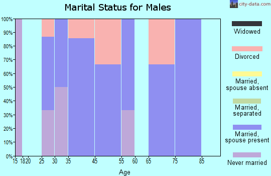 Pleasant Plain marital status for males