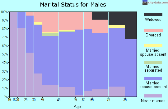 Portage Lakes marital status for males