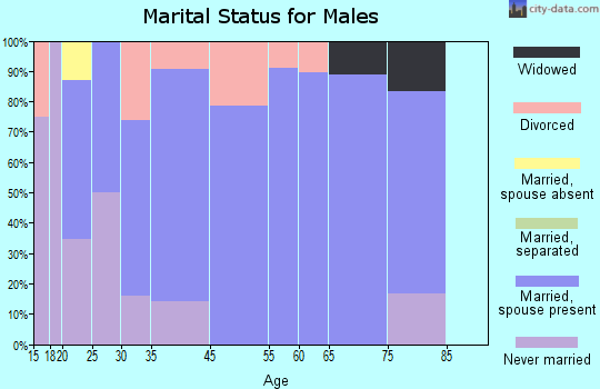 Port Washington marital status for males