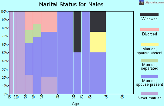 Port William marital status for males