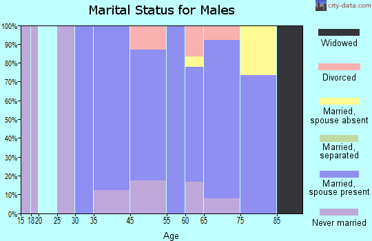 Riverlea marital status for males