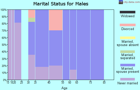 Rochester marital status for males