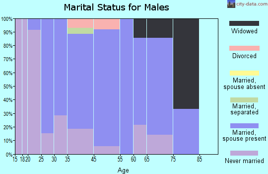 Rock Creek marital status for males