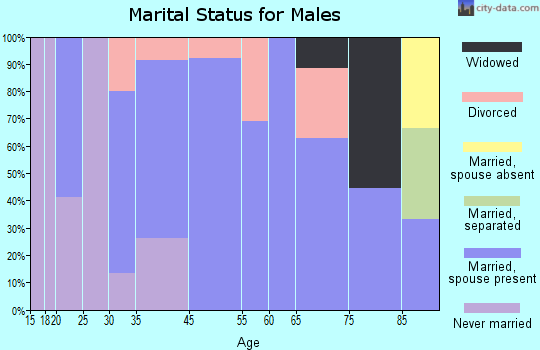 Russellville marital status for males