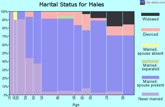 St. Clairsville marital status for males