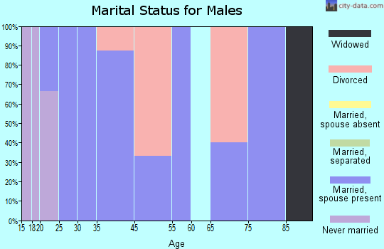 Salesville marital status for males