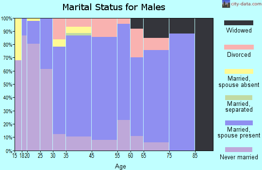 Salineville marital status for males