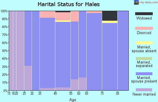 Silver Lake marital status for males