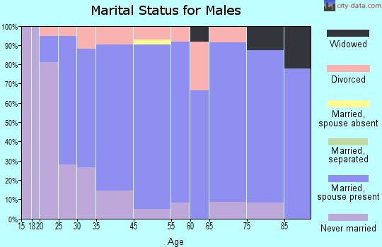 Smithville marital status for males