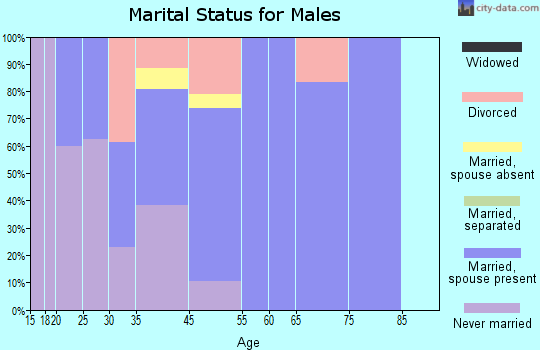 Somerville marital status for males
