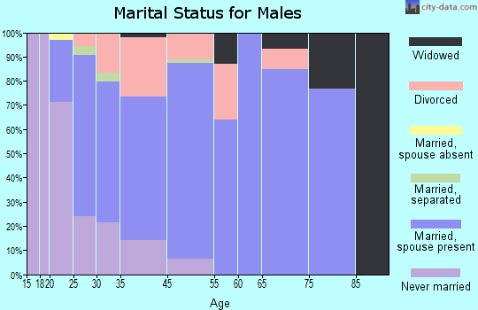 South Lebanon marital status for males