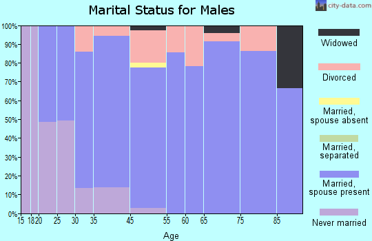 South Point marital status for males