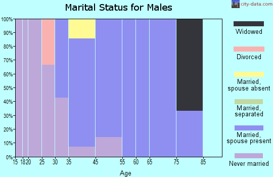 South Salem marital status for males