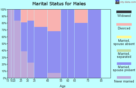 South Vienna marital status for males