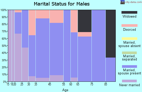 South Webster marital status for males