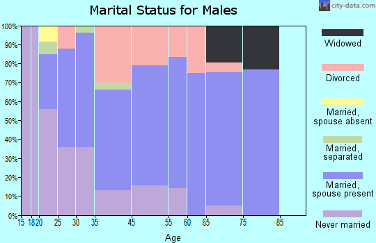 South Zanesville marital status for males