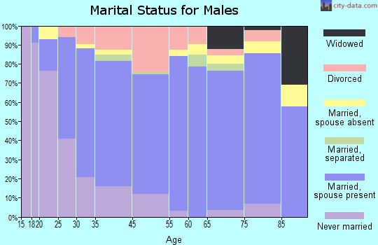 Springdale marital status for males