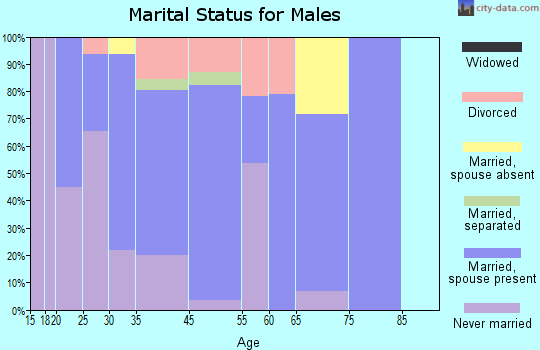 The Plains marital status for males