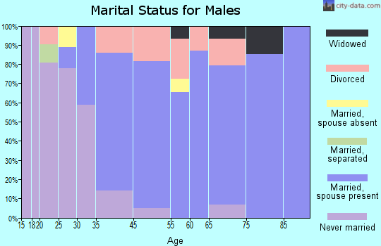 Timberlake marital status for males